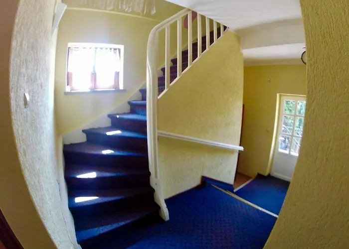 Bed & Breakfast Pasja Wolow (Wolow)